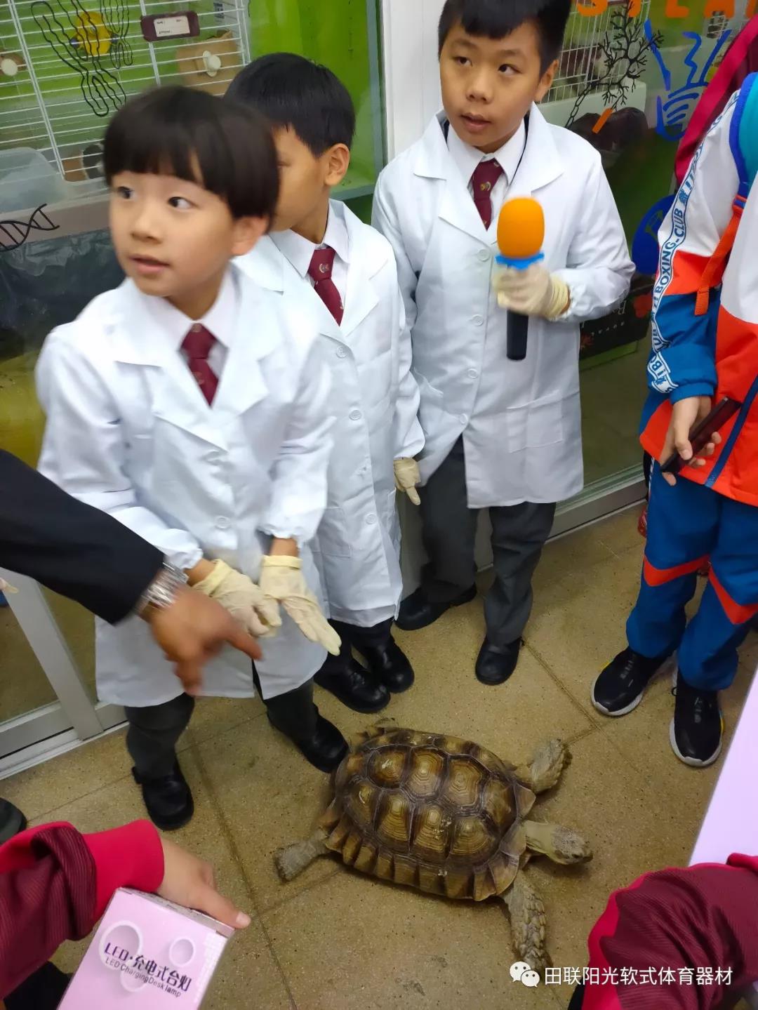 1587883524350752.jpg 17.jpg