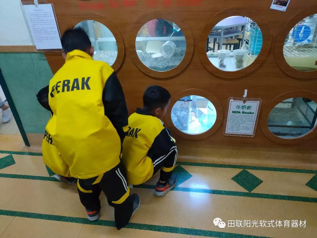 1587883572306214.jpg 20.jpg